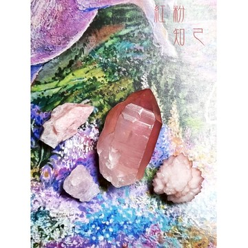 💗紅粉知己 粉紅列木里亞水晶+粉紅菠蘿骨幹晶簇+粉晶簇+粉紅透鋰長石