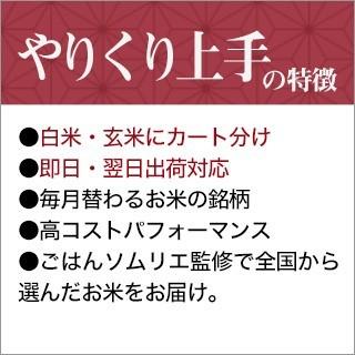 新米 令和5年産(2023年)  栃木県産 なすひかり 精選玄米（10kg｜2kg×5袋）