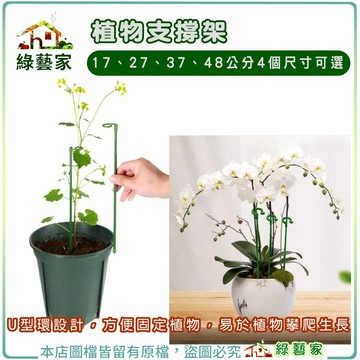 【綠藝家】植物支撐架(玻璃纖維材質)17；27、37、48公分4種規格可選 U型環固定植物，易於植物攀爬生長