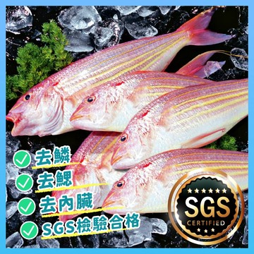 金線魚 3去 150-180g/隻【海產教父】