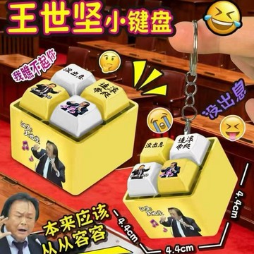 【台灣出貨】王世堅同款語音 沒出息語音按 王世堅語音按鍵 從從容容游刃有餘按鍵 發光鑰匙圈 解壓按鍵掛件 發聲發 tt