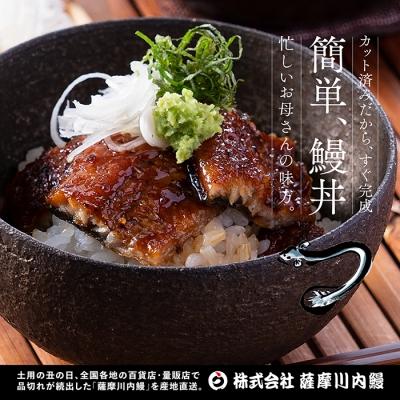 ふるさと納税 薩摩川内市 鹿児島県産うなぎ蒲焼カット 約150g(約75g×2袋)　AS-039