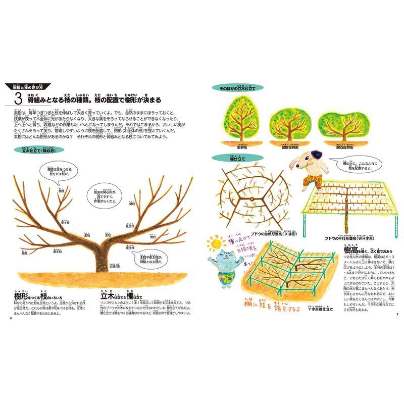 農作業の絵本 果樹の栽培とせん定