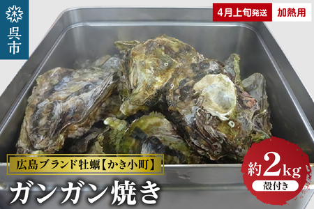 丸十水産 広島ブランド牡蠣 かき小町 ガンガン焼き 約2kg (10～14個) 加熱用