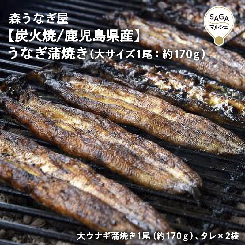 うなぎ蒲焼き（大サイズ 1尾：約170ｇ）森うなぎ屋