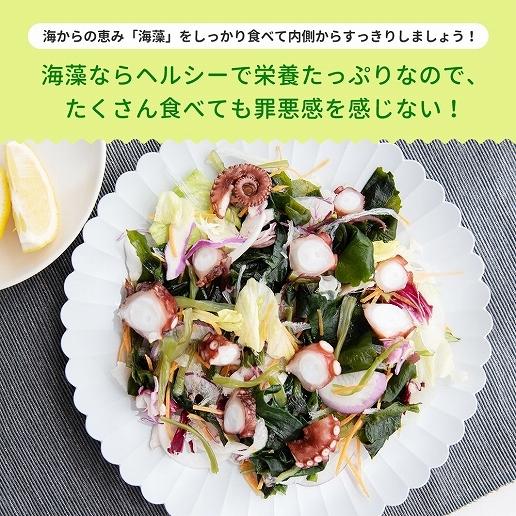 送料無料 寒天 メガ盛り 寒天海藻サラダ 2袋セット 味噌汁の具 メガ盛520g(260g×2)  湯戻し 簡単 まとめ買い ダイエット 業務用 非常食 ミネラル