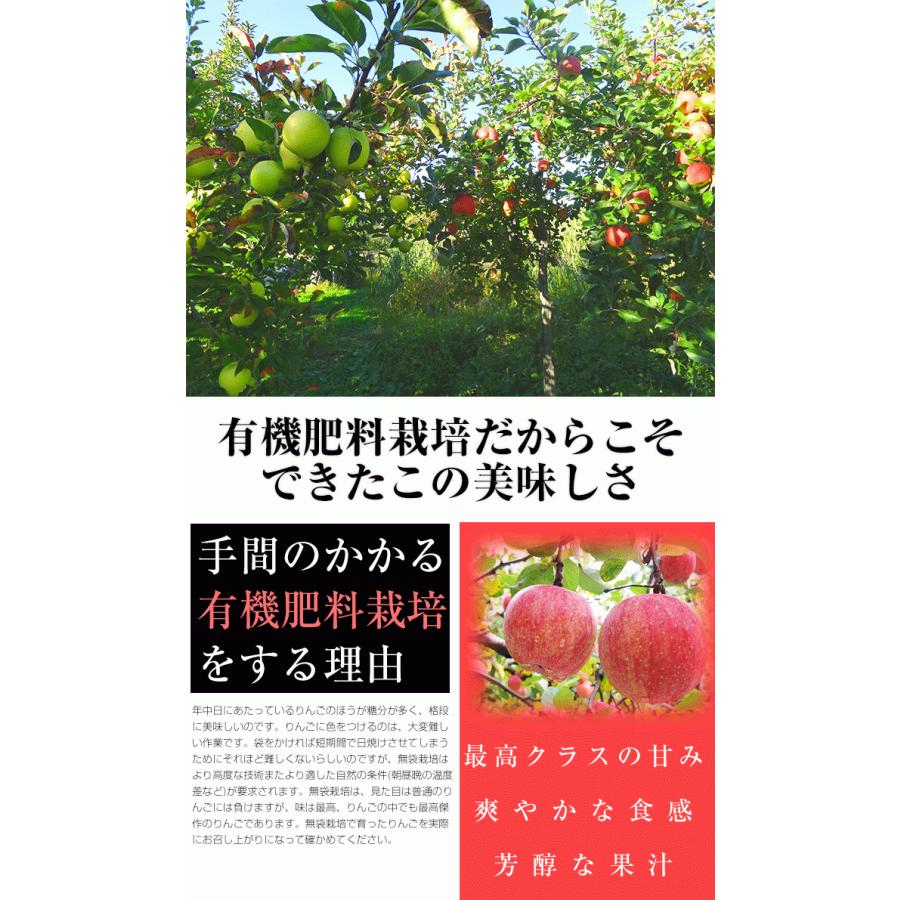 訳ありりんご 10kg 40玉前後 青森県産 送料無料 葉取らずりんご 訳あり 蜜入り リンゴ 林檎 お得用 ご家庭用 果物 フルーツ １０kg