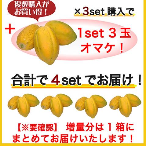 送料無料 フルーツパパイヤ 沖縄 スーパーフード1.8kg前後(2-3個入) 国産 沖縄産(ギフト 贈り物 パパイヤ フルーツ トロピカル)