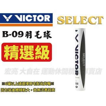 VICTOR 勝利 羽球 練習球 精選級 羽毛球 穩定 CP值高 B-09 SELECT【大自在運動休閒精品店】