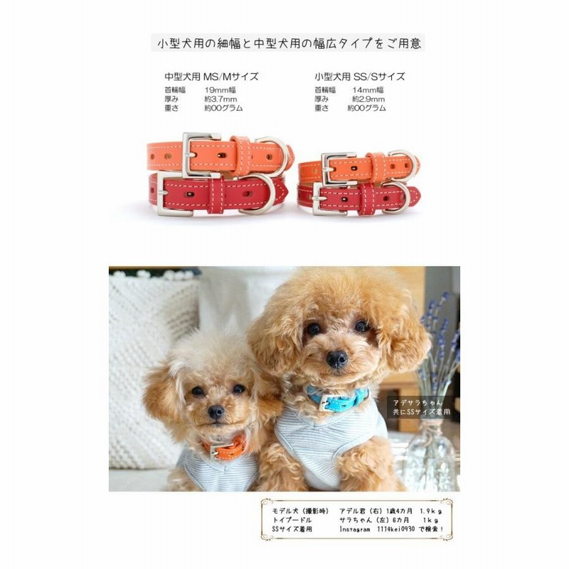犬 首輪 犬首輪 犬の首輪 おしゃれ かわいい ブランド 迷子札 中型犬 小型犬 小型犬用 超小型犬 いぬ くびわ 革 レザー 皮 軽い 柴犬 チワワ Otm 1 通販 Lineポイント最大get Lineショッピング