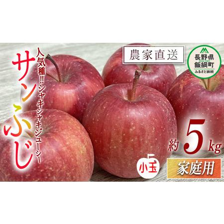 ふるさと納税 りんご サンふじ 家庭用 小玉 5kg 大友農場 エコファーマー認定 沖縄県への配送不可 2024年1月上旬頃から2024年3月上旬頃まで.. 長野県飯綱町