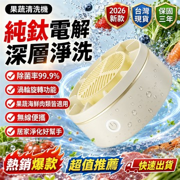 回購率98%✅臭氧清洗機 蔬果淨化機 食材淨化器 蔬菜清洗機 洗菜器 肉類清洗機 餐前清洗機 食材淨化機 超音波清洗機