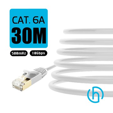 Cat.6A網路線 30米
