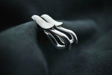 【蛇羽925純銀耳環 /一對】 (小龍/蛇/羽毛/垂耳環)母親節禮物