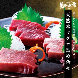 天然本マグロ詰め合せ とれたて！美味いもの市