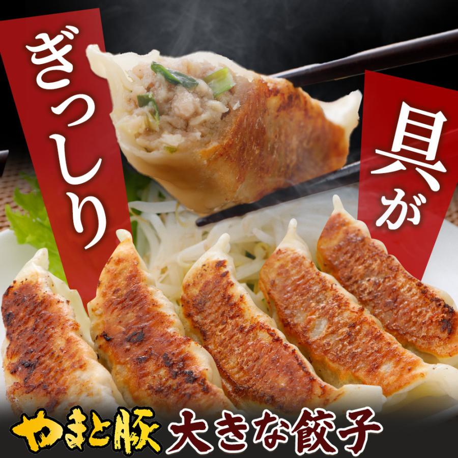 やまと豚 大きな肉餃子 45個 |[冷凍] 送料無料 お歳暮 御歳暮 2023 肉 食品 取り寄せ 冷凍餃子 餃子 お取り寄せグルメ ギフト 食べ物 中華 おつまみ 惣菜