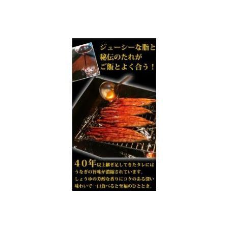 ふるさと納税 大型サイズふっくら柔らか 国産うなぎ蒲焼き 3尾 和歌山県由良町