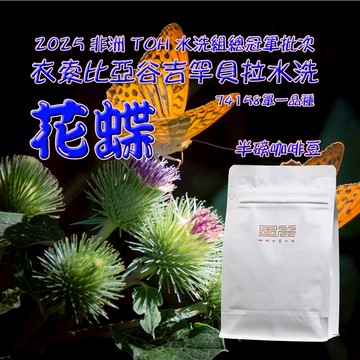 【衣索比亞谷吉罕貝拉花蝶G1水洗豆 (淺焙)】