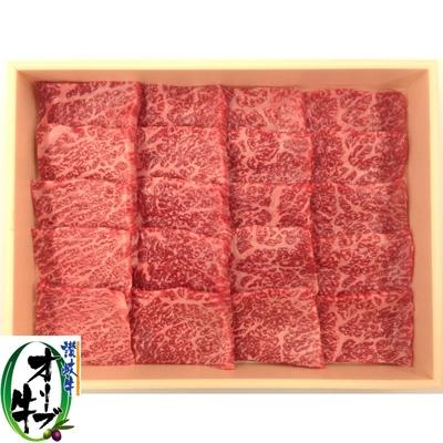 ふるさと納税 三豊市 香川県産黒毛和牛　オリーブ牛　焼肉2種食べ比べセットA　計1000g