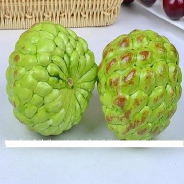 [協貿國際]   仿真番荔枝釋迦