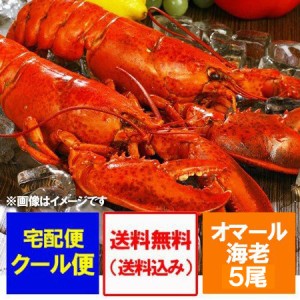 オマール海老 送料無料 ボイル オマールエビ 5尾 1尾 400g～450g×5 えび 海老 エビ  海産物 海鮮類