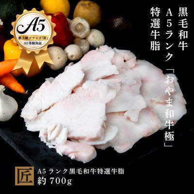 ふるさと納税 小山市 おやま和牛 A5 極 牛脂約700g