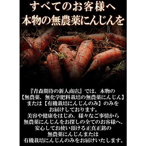 青森期待の新人商店 無農薬にんじん 5kg 国産 有機栽培 ジュース用 人参 鮮度保持袋セット