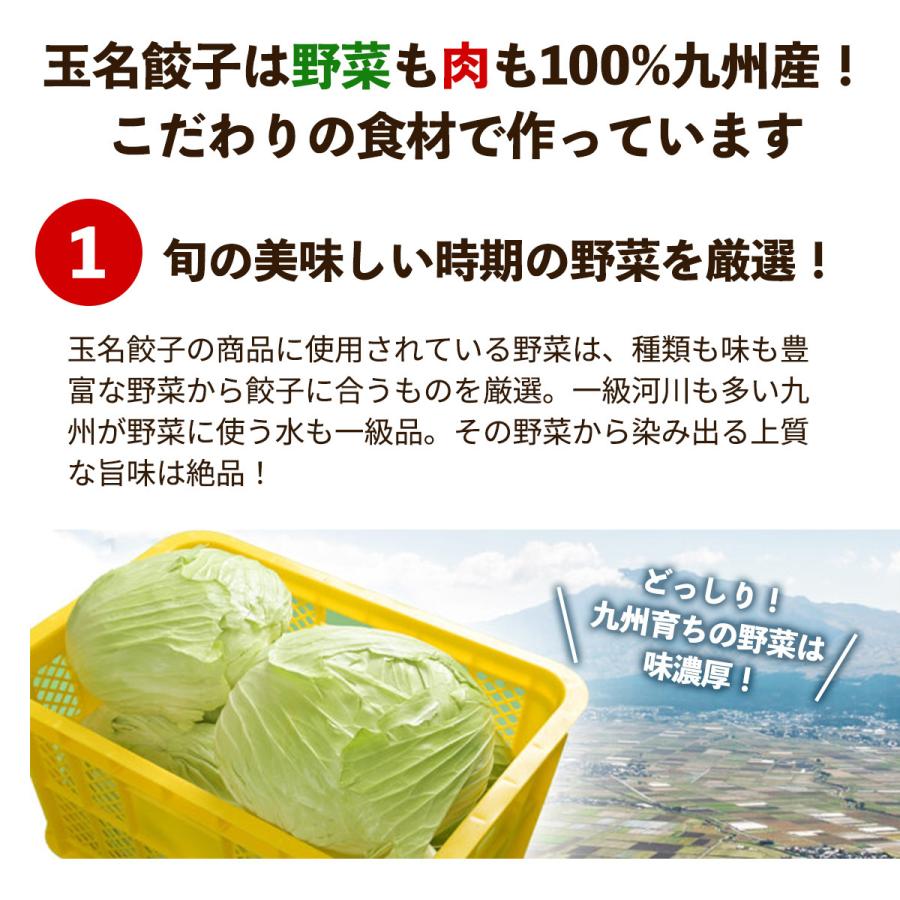 タレ要らず黒豚餃子 ５０個入 冷凍餃子 