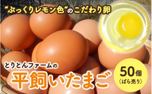 とりとんファームの平飼いたまご50個（ばら売り）   田辺市 卵 たまご 鶏卵 平飼い 卵かけごはん