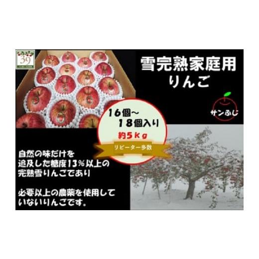 ふるさと納税 青森県 弘前市 1〜2月発送 訳あり 雪完熟 家庭用 サンふじ 約5kg 