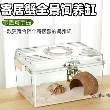 ⚡閃電下殺⚡爬寵飼養箱鬃獅蜥蜴外帶箱蛇蜘蛛蠍子守宮飼養盒透氣防越獄無毒盒