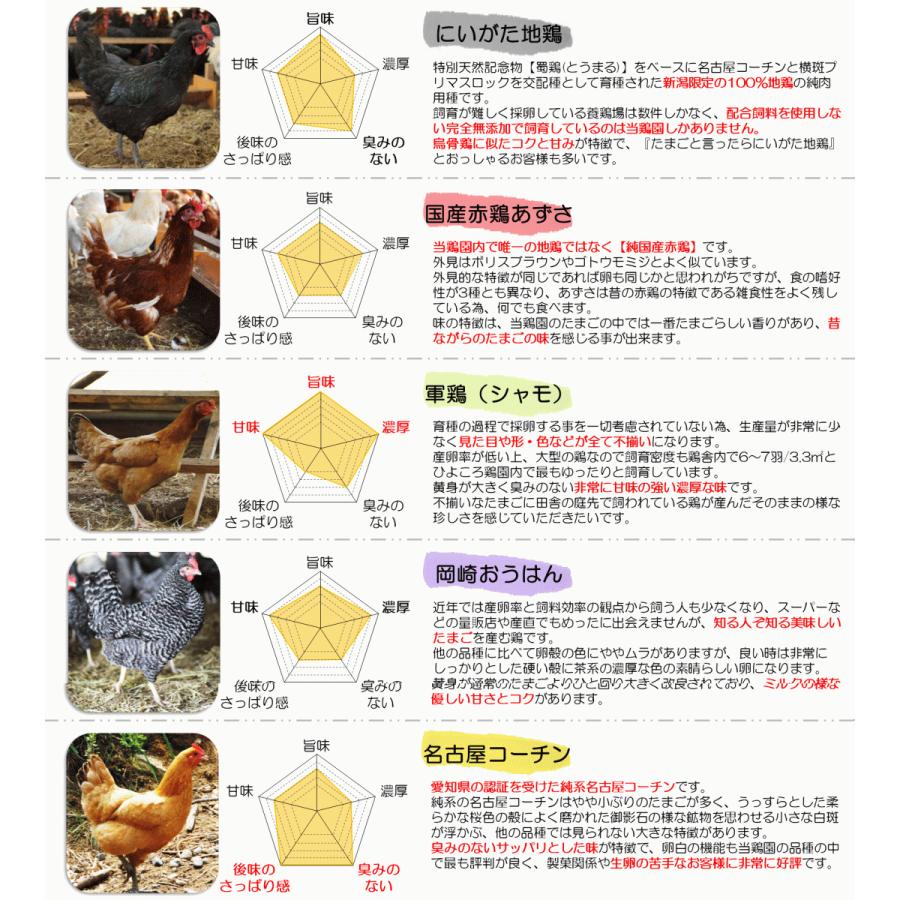 あじわいたまごセット (にいがた地鶏・あずさ・軍鶏・岡崎おうはん・名古屋コーチン) 各２個・計10個