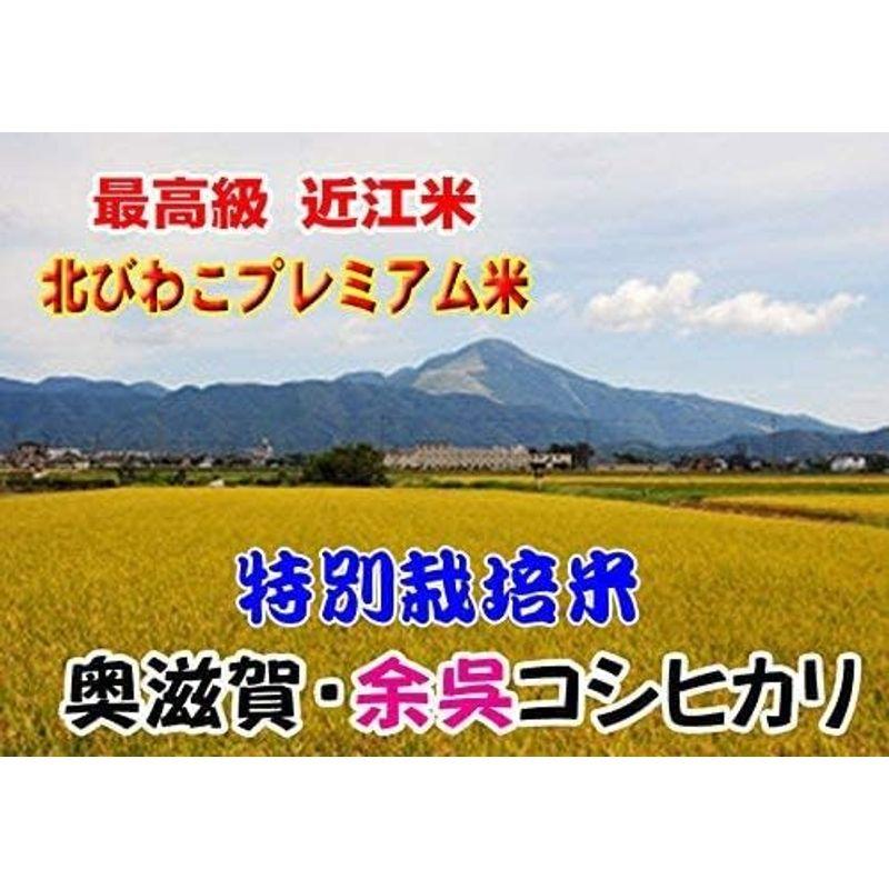 令和4年産 滋賀県産 特別栽培 プレミアム コシヒカリ10kg (5kg×2袋) 出荷日精米 (5分づき 約4.75kg×2袋でお届け)