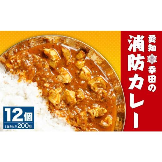 ふるさと納税 愛知県 幸田町 幸田消防カレー 200g×12個入り レトルトカレー カレー 小麦粉不使用