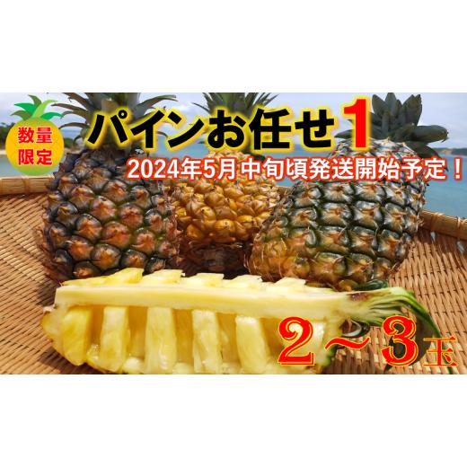 ふるさと納税 沖縄県 東村 東村産パインアップルお任せセット１(2〜4個)　