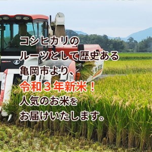 訳あり 定期便 新米 10kg 3ヶ月 京都丹波米 こしひかり 白米 3回定期便 10kg×3回 計30kg ※精米したてをお届け《緊急支援 米・食味鑑定士 選 コシヒカリ 京都丹波産 特Ａ》 ※毎月1回又は2カ月に1回 ※北海道・沖縄・離島への配送不可