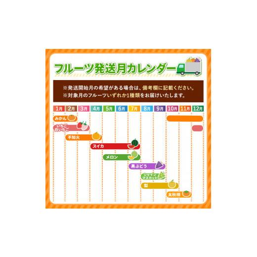 ふるさと納税 熊本県 玉名市  まるごと 堪能 ！ 人気 フルーツ