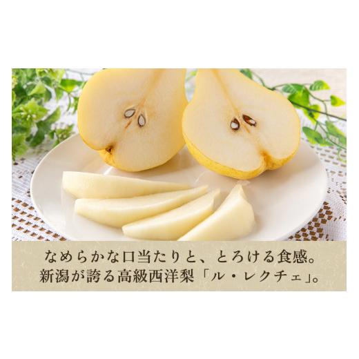 ふるさと納税 新潟県 加茂市  西洋梨ル・レクチェ 約4kg （9〜14玉） 《11月下旬以降発送》 幻の洋梨 フルーツ 新潟の冬の味覚 加茂市 いりえくだも…