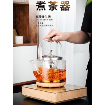 煮茶器套裝家用神器全自動上水電熱多功能燒茶養生壺功夫茶具玻璃