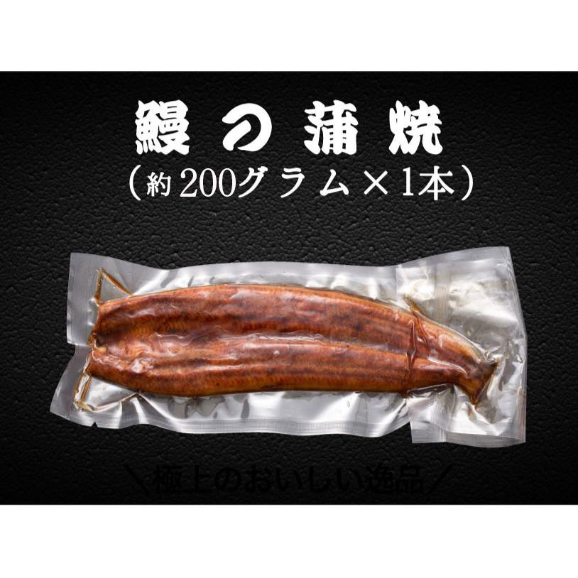 うなぎ 鰻 ウナギ 国産 うなぎ蒲焼 大サイズ蒲焼1尾 解凍前約200g(解凍後約185g)