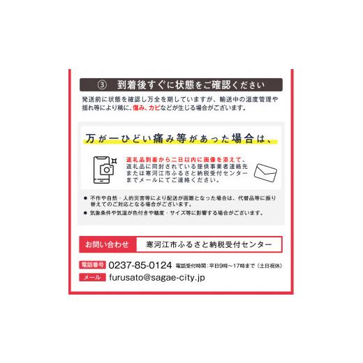 ふるさと納税 山形県 寒河江市 りんご 5kg 「サンふじ」 秀品 （16〜20玉） 山形県産 　018-B-MM028