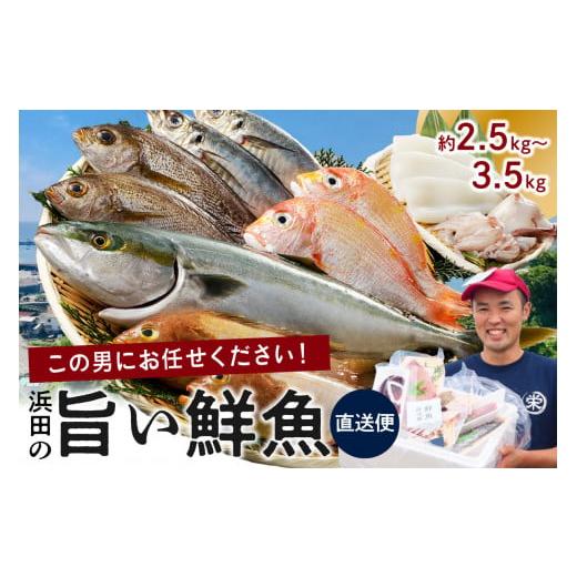 ふるさと納税 島根県 浜田市 12.この男に任せてみませんか　〜浜田の旨い鮮魚直送便〜