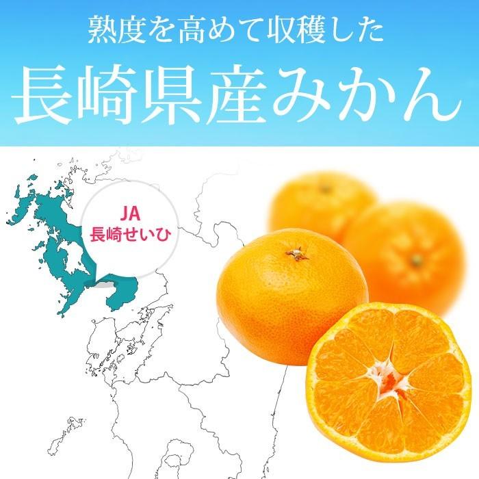 みかん 長崎県産 煌光（きらきら） 越冬袋掛けみかん 約2.5kg 小〜中サイズ 30〜40個