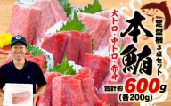 本まぐろ 大とろ 中とろ 赤身 詰合せ 約600g 本鮪 天然本マグロ 食べ比べ 大トロ 中トロ 赤身 解凍 鮪 漬け マグロ ユッケ 海鮮  大人気マグロ 人気マグロ 絶品マグロ 至高マグロ 国産マグロ 詰め合わせマグロ ギフトマグロ 大容量マグロ 新鮮マグロ 本格マグロ 訳ありマグロ ふるさとチョイス ふるさと納税 ランキング キャンペーン やり方 限度額 仕組み シミュレーション