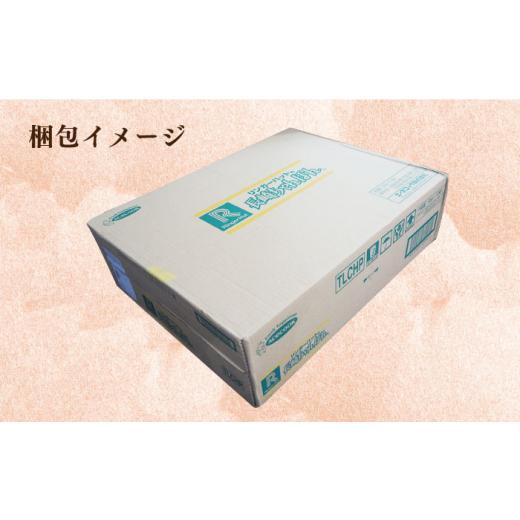 ふるさと納税 長崎県 長与町  リンガーハットの長崎ちゃんぽん 12個 長与町／ジョイフルサンアルファ [EBN008]