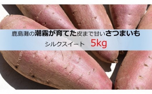 皮まで甘いさつまいも　シルクスイート　5kg