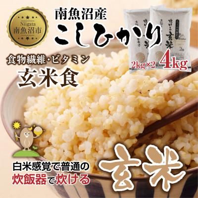 ふるさと納税 南魚沼市 南魚沼産 コシヒカリ 玄米 2kg×2袋 こしひかり 新潟県 米 玄米食  普通に炊ける