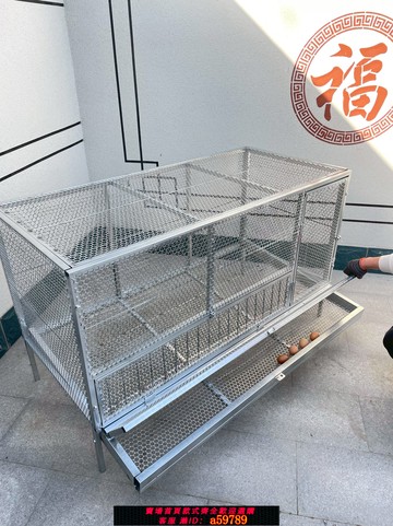 【全網低價 可打統編】母雞下蛋籠自動收蛋籠加密防啄防黃鼠狼大空間雞籠戶外養殖籠家禽
