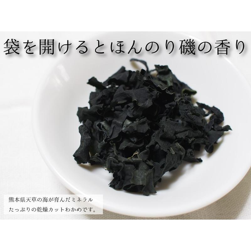 乾燥わかめ 国産 50g カットわかめ 天然わかめ 九州産 熊本産 天草産 ワカメ