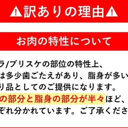 訳アリ 博多和牛 肩バラ（ブリスケ）スライス 600g A4～A5 訳あり 配送不可：離島